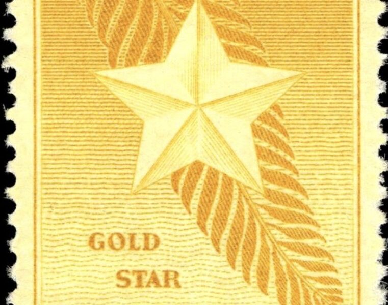 The Stars They Carried